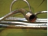 Picture of Atlas 12" Gooseneck