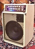 Image de SWR Blonde Workingman's Combo.  SOLD.